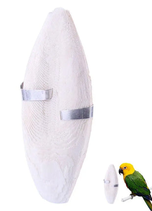 Uccello Seppie Osso Uccello Naturale Cuttlebone Pappagallo Giocattolo Da Masticare Pet Rettifica Seppie Osso Uccello Molare Snack Pappagallo Forniture - riparo82