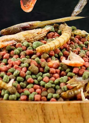 GEN CLIMB Turtle Food with Dried Shrimp&Mealworms-All-in-One Floating Pellets for Aquatic Turtles(Red-Eared Slider,Pond Turtle) - Riparo82