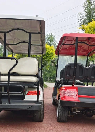 Carrello Golf Elettrico 2-8 Posti 48V-72V Omologato Strada - Fuoristrada Caccia - riparo82