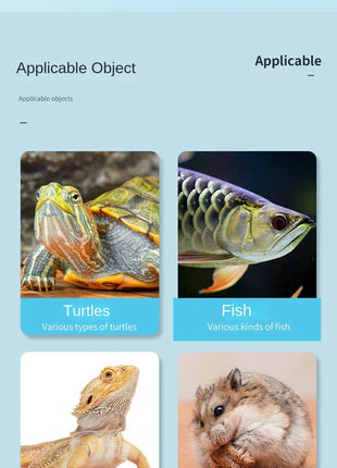 Thrushcross Turtle Snacks Freshwater Small Fish Dried Shrimp Dried Hamster Bread Worm Dried Hamster Snacks - Riparo82