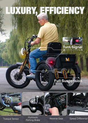 E-Trike 2400W Motore 48V30AH Batteria Rimovibile Triciclo Elettrico Supporto Funzione di Inversione 20*4 Pollici Fat Tire Neve Trike Elettrico - riparo82