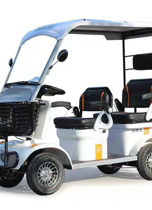 Mini Autobus Elettrico 2-4 Posti con Tetto - Scooter Turistico Doppia Fila - riparo82