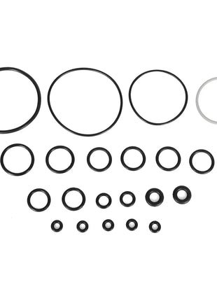 10 Kits 246355 Complete O-Ring Rebuild Kit For Graco Fusion AP Sprayers Orings - Riparo82