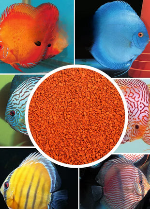 Tetra Discus Food Adding Algae And Shellfish Formula To Protect The Healthy Growth Of Fish Is Also Applicable To Tropical Fish - Riparo82