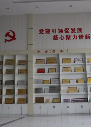 Trike Elettrico Alta Velocità Adulti 72V - Triciclo 3 Ruote Doppi Freni Economico - riparo82