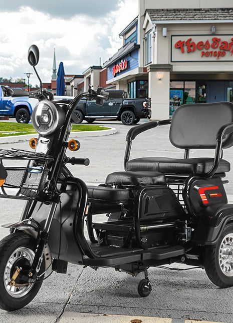 48V 600W Cheapest Long-endurance 3 Passengers  Mobility Electric Vehicle for Elderly Electric Tricycle Scooter Mobility Bike