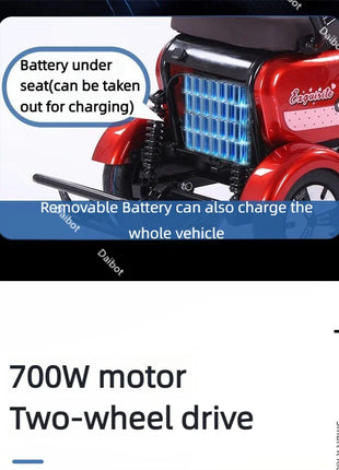 Mini Parent Child Electric Tricycle For Family With Foldable Child Seat 700W 48V 3 Wheels Electric Scooter For Adults Women - Riparo82