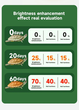 YEE Premium Turtle Food – Specially Formulated for Golden Coin Turtles, Yellow Pond Turtles, and Hatchlings - Riparo82