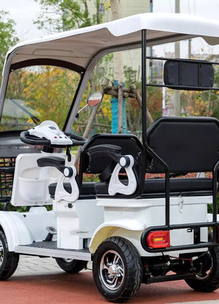 Mini Autobus Elettrico 2-4 Posti con Tetto - Scooter Turistico Doppia Fila - riparo82