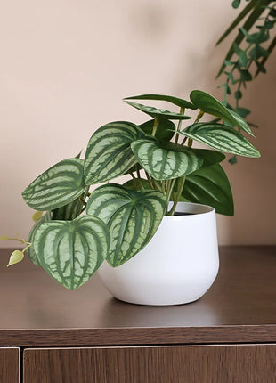 1PC Simulated Plant Potted Plant, Business Office Desktop, Foyer, Garden, Garden, Floral And Home Decoration