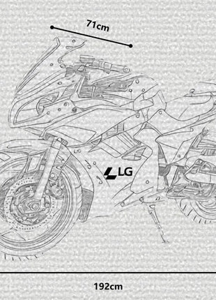 Luyuan DP Electric Motorcycle 72V Electric Motorcycles 3000w Cheap Electric Cruiser Motorcycles - Riparo82