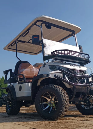 China's Hot Sale 48V/72V Lithium Golf Car 4/6/8 Person Electric Mini Sightseeing Bus Electric Golf Carts - Riparo82