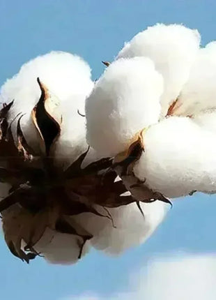 Halloween Name  Pumpkin Face Cute Ghost Family  Spooky Season Matching Funny Skull Unisex Essentials Trend Hoodie Neutral Hoody - Riparo82