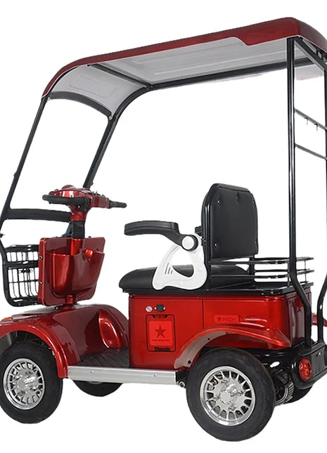 2024 High Quality Best Price 800w 15 Tube Four Wheel Electric Tricycle with Roof for Adult Golf Cart Electric with Roof - Riparo82