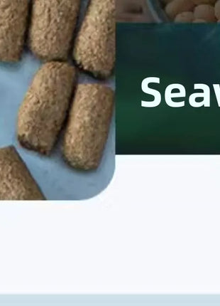 YUR KWAI Sub-Adult Turtle Food - Protein Pellets for Red-Ear Slider/Terrapin/Box Turtle-Shell Hardening Formula with Calcium&D3 - Riparo82