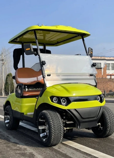 Latest Trends Golf Carts 48V 4KW Motor 2 4 Seater Golf Buggy Cart Electric with Golf Bag Straps and Basket - Riparo82