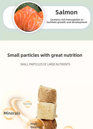 BESSN Freeze-Dried Turtle Food 300g | Brazilian/Caiman/Reeves' Turtle Formula with Shrimp & Meat Pellets | for Juvenile Turtles - Riparo82