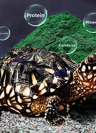 yeeb Aquatic Turtle Food - High Protein Sinking Pellets for Musk, Razorback & Deep Water Turtles - Riparo82