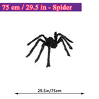 75cm