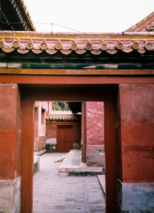 Pellicola originale KODAK ColorPlus 200 35mm 36 esposizione Per rotolo adatta Per fotocamera M35 / M38 /H35 pellicola negativa 36EXP Per fotocamera LOMO