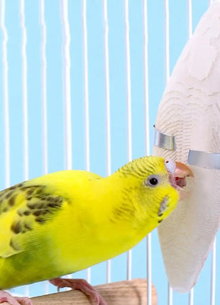 Uccello Seppie Osso Uccello Naturale Cuttlebone Pappagallo Giocattolo Da Masticare Pet Rettifica Seppie Osso Uccello Molare Snack Pappagallo Forniture - riparo82