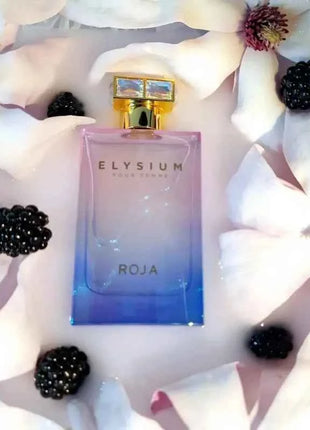 Luxury Unisex Perfume Collection 75ml 100ml Long Lasting Eau De Parfum for Men and Women Bold Woody Oriental Fragrance Daily Use