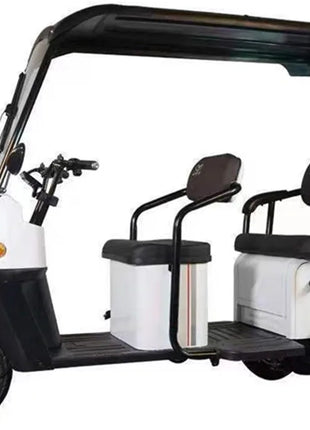 Mini Autobus Elettrico 2-4 Posti con Tetto - Scooter Turistico Doppia Fila - riparo82