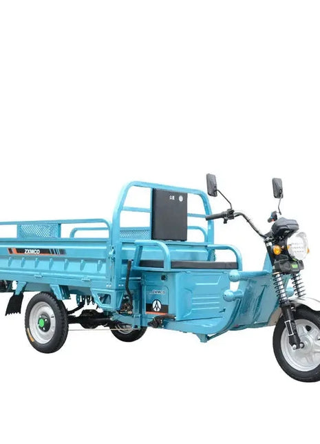 Cheap E-trikes 3 Wheel Tricycle Cargo Truck Durable 300cc Cargo Tricycle Strong Electric Cargo Tricycle for Adult - Riparo82
