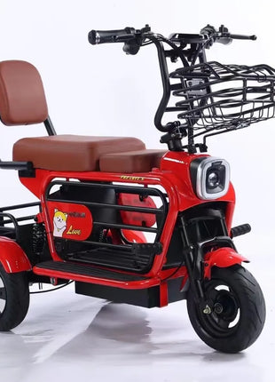 Electric tricycle mini electric car pet car elderly scooter - Riparo82