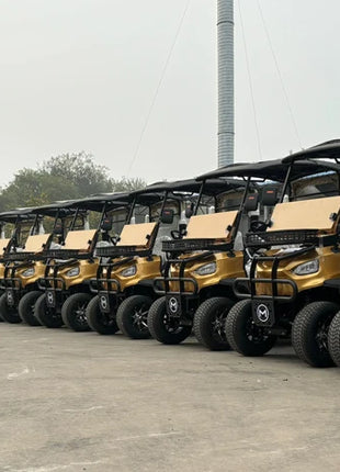 China's Hot Sale 48V/72V Lithium Golf Car 4/6/8 Person Electric Mini Sightseeing Bus Electric Golf Carts - Riparo82
