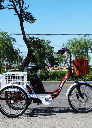3 Wheel Electric Tricycle Cargo Bike 20 Inch 350w 48v Family Electric Wheel For Bicycle For Women Man Adult With Pull Basket - Riparo82