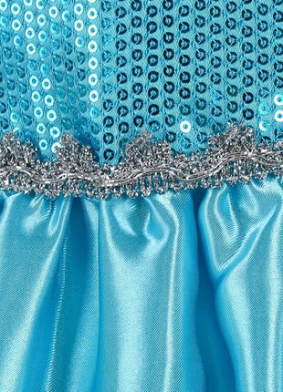 Disney Elsa Anna Abiti da principessa Ragazze vestono Bambini Cosplay Frozen Snow Queen Costumi Carnevale Festa di compleanno Abiti fotografici
