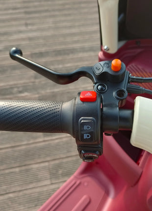 2025 Hot Selling Electric Tricycle for Family Use Open Body Rickshaw with Roof for Passenger and Cargo for Adults