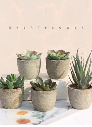 Mini Artificial Aloe Plants Bonsai Small Simulated Tree Pot Plants Fake Flowers Office Table Potted Ornaments Home Garden Decor