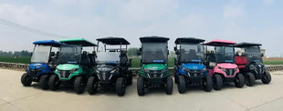 China's Hot Sale 48V/72V Lithium Golf Car 4/6/8 Person Electric Mini Sightseeing Bus Electric Golf Carts - Riparo82