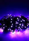 Purple / No Plug / 20M 200LEDs