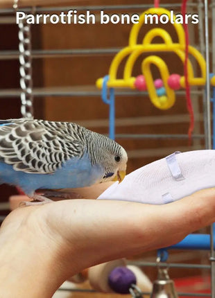 Uccello Seppie Osso Uccello Naturale Cuttlebone Pappagallo Giocattolo Da Masticare Pet Rettifica Seppie Osso Uccello Molare Snack Pappagallo Forniture - riparo82