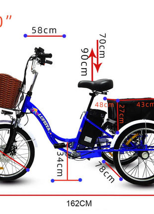 3 Wheel Electric Tricycle Cargo Bike 20 Inch 350w 48v Family Electric Wheel For Bicycle For Women Man Adult With Pull Basket - Riparo82