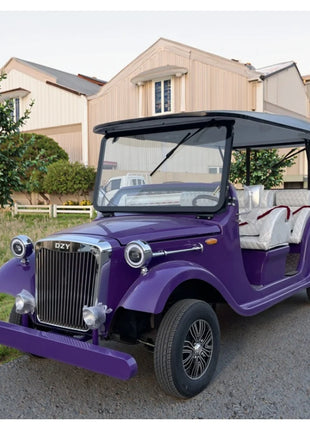 Factory direct sales of electric sightseeing cars, classic vintage cars, golf carts, modern luxury vintage cars - Riparo82
