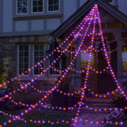 Purple Orange