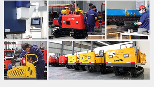 Mini Autocarro Cassone Ribaltabile 800kg - Trasportatore Cingolato Agricolo - riparo82