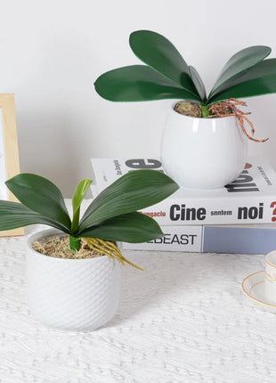 Real Touch  Artificial Green Butterfly Orchid Leaf Plastic Flower Leaf Home Wedding Party Decoration