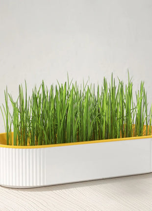 Pet Cat Sprout Dish Growing Pot Hydroponic Plant Cat Grass Germination Digestion Starter Dish Greenhouse Grow Box Excluding seed