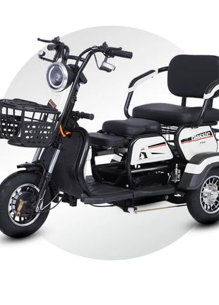Triciclo Elettrico 1000W 48V 3 Posti Adulti - Scooter Mobilità Anziani 4 Modalità - riparo82