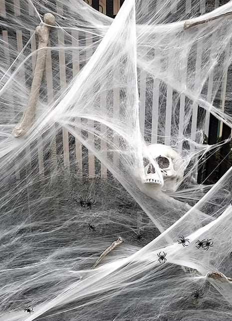 Halloween Decoration Spider Web,Artificial Spider Web,Stretchy Cobweb With Spider,Horror Gothic Haunted House Home Decor - Riparo82