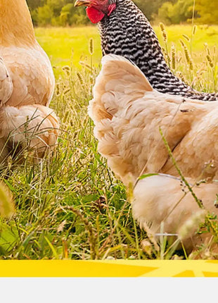 BESSN Aquatic Turtle Food - High Protein Freeze-Dried Shrimp&Meat Mix for Red-Eared Slider,Snapping Turtle&Terrapin - Riparo82