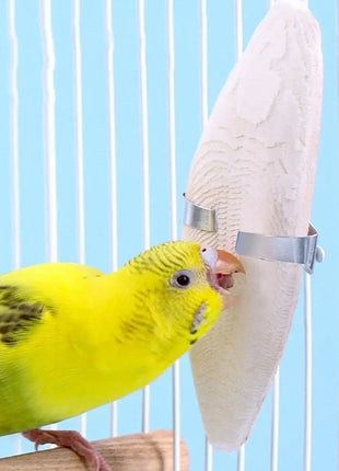 Uccello Seppie Osso Uccello Naturale Cuttlebone Pappagallo Giocattolo Da Masticare Pet Rettifica Seppie Osso Uccello Molare Snack Pappagallo Forniture - riparo82