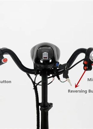 4 Wheel Folding Electric Scooter For Disabled Double Motor 250W 36V Foldable Travel Mobility Scooter Adult With Reverse - Riparo82