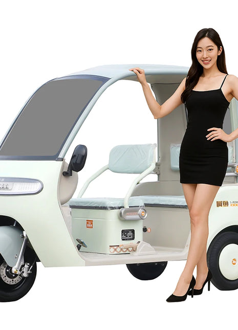 New Design Electric Tricycle for Adults | Lightweight Trike with 80km Range & Foldable Design - Riparo82