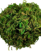 Artificial Moss Green for Potted Plant Orchid Potting Mix Peat Moss Pole Craft
